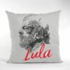 Almofada Lula Arte João Pinheiro